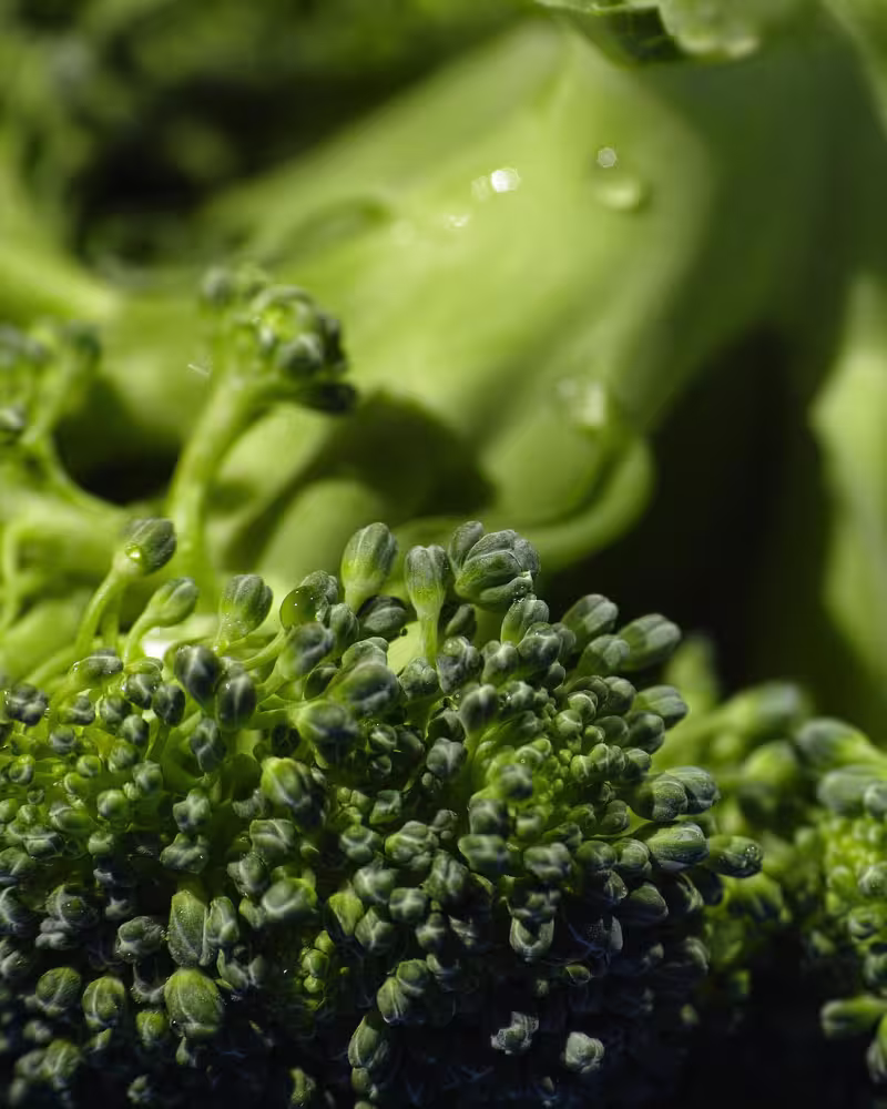 Brassicas